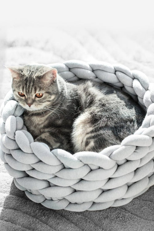 Canasta De Gato Gruesa