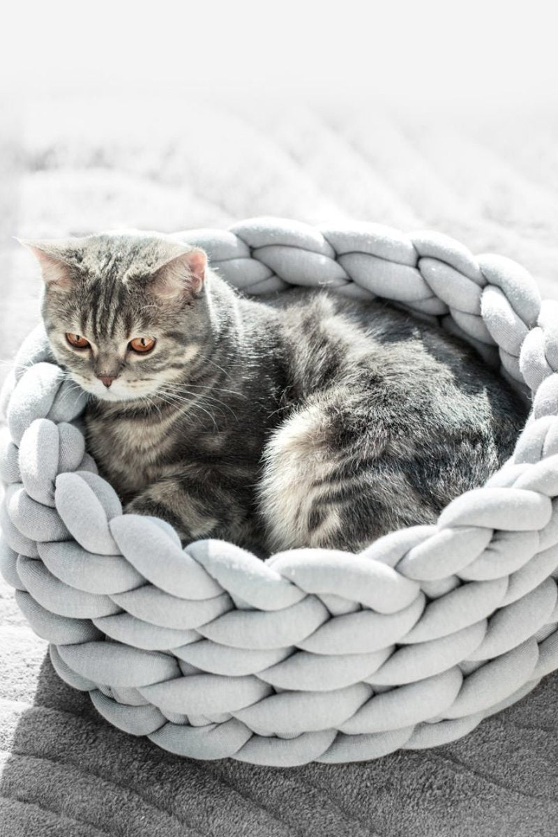 Canasta De Gato Gruesa